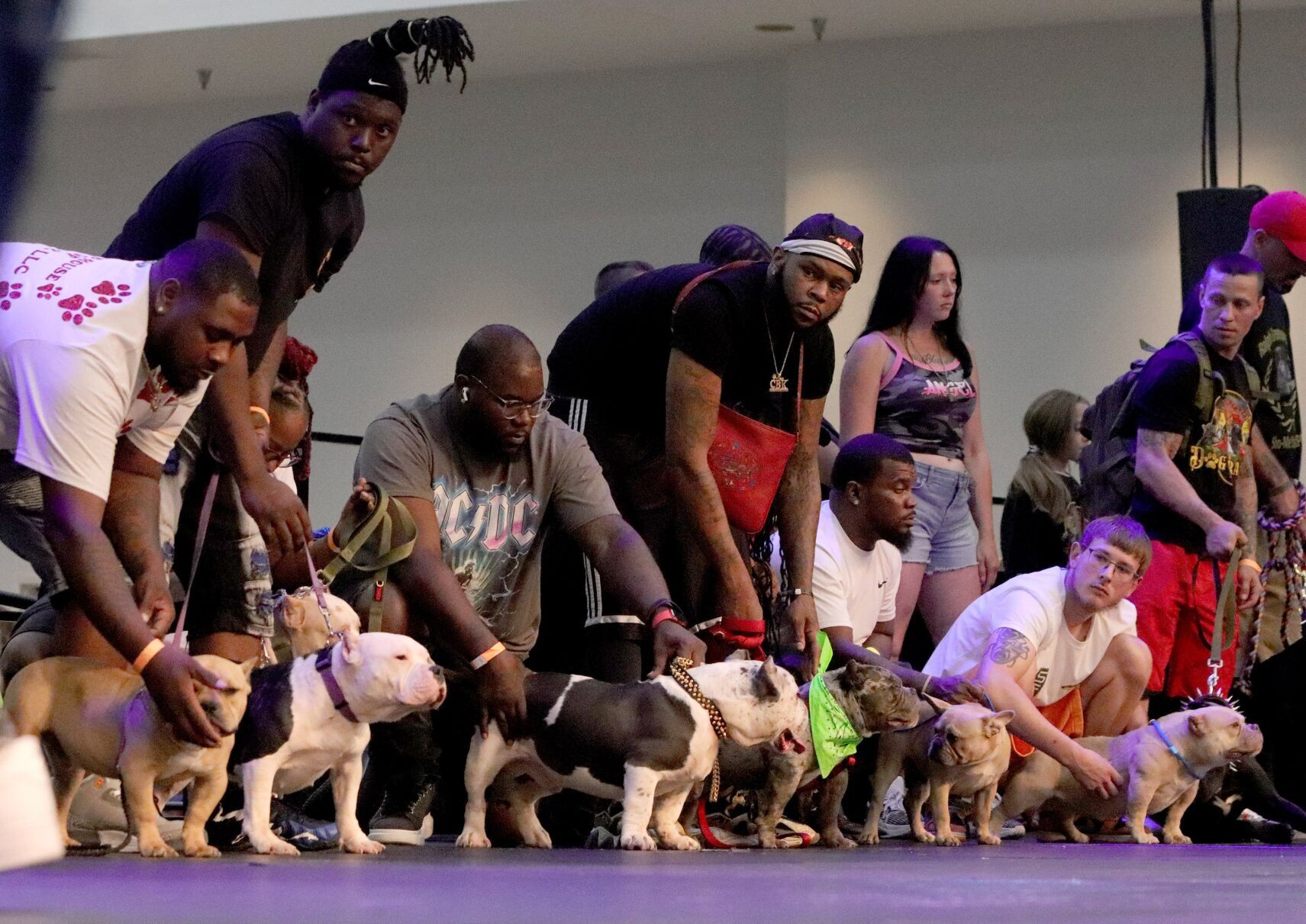 Show Me Bullz Dog Show